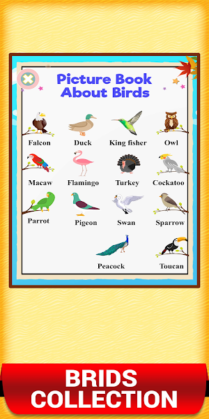 Picture Dictionary Book Games - Learn How To Read Screenshot 1