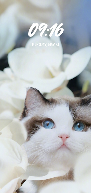 Animal Wallpaper Screenshot 3