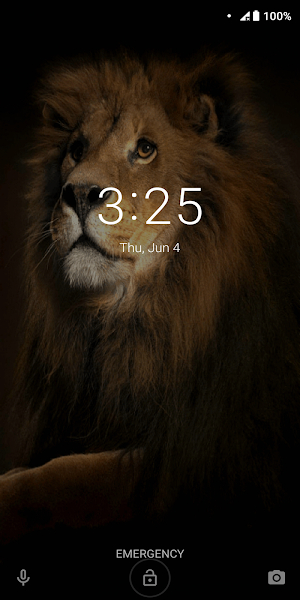 Golden Lion GIF Live Wallpaper Screenshot 1