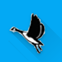 Geese Relief