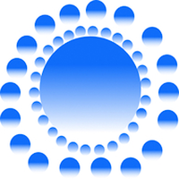 BLV Coin Network