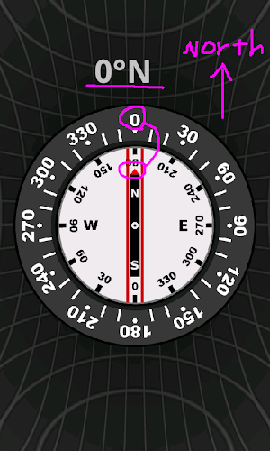 Compass Screenshot 0