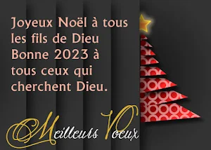 Images de Bonne Année Screenshot 2
