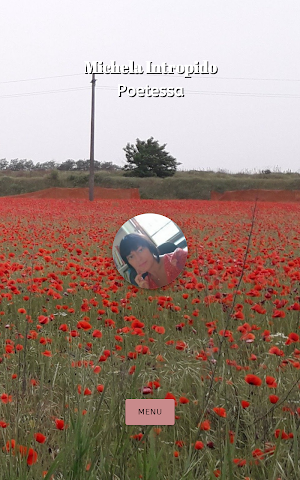 Michela Intropido screenshot 5