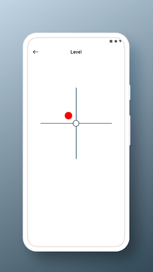 Multi-Function Compass Screenshot 1