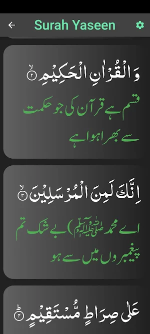 Surah Yaseen With  Translation Screenshot 3