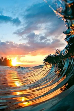 Beach Video Wallpapers Screenshot 3