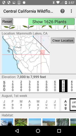 Central California Wildflowers Screenshot 1