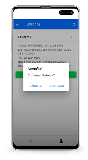Bluesoft Roteiro de Entregas Screenshot 3