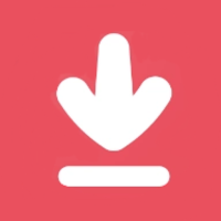 Video Downloader - Story Saver