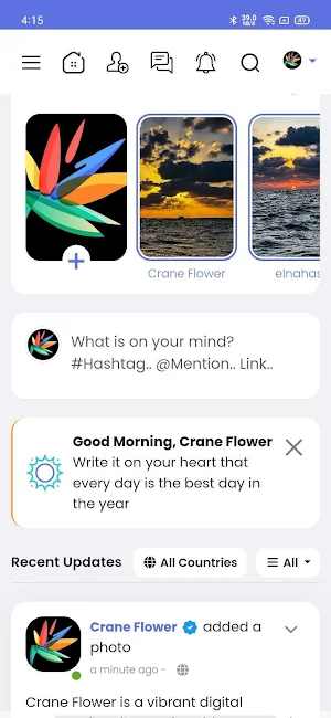 crane flower Screenshot 1