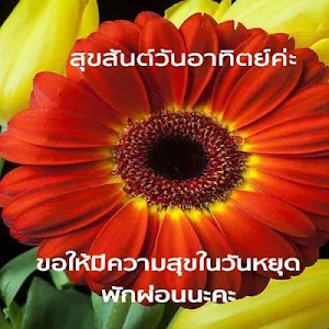 สวัสดีตอนเช้า Screenshot 1