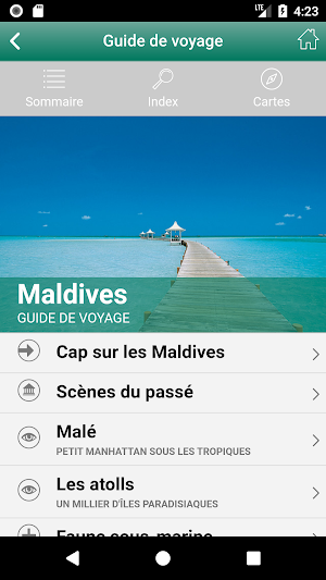 VIP Screenshot 1