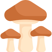 mushroom