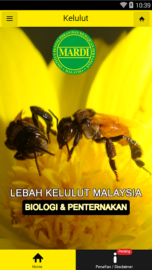 MARDI Kelulut Screenshot 0