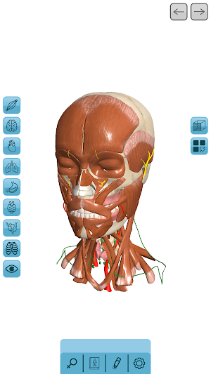 VITA 3D Screenshot 2