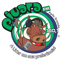 Rádio Piuara 100.1