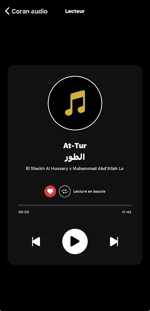 LE SAINT CORAN ARABE WOLOF Screenshot 3