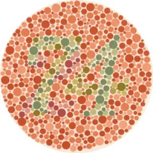 Color Blind Test Screenshot 3