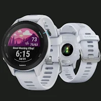 Garmin Forerunner 255 Guide