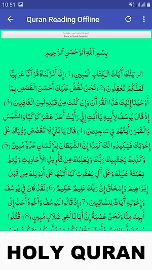 Al Huthaify Full Quran Offline Screenshot 0