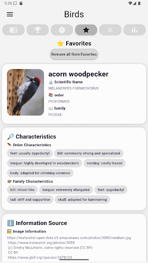 Birds... Screenshot 1