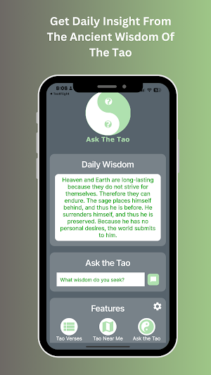 Ask The Tao Screenshot 0