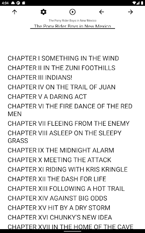 Book, The Pony Rider Boys in N Screenshot 2