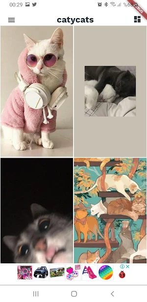 Caty Cats Screenshot 0