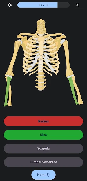 Anatomy Quiz: Bones Screenshot 1