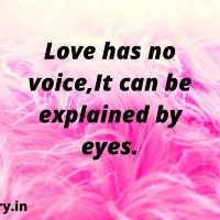 Love Quotes and Status