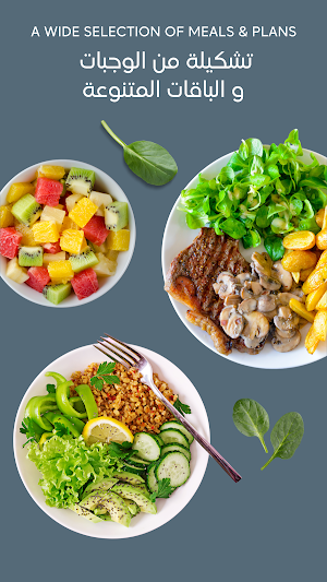 Healthy House | هيلثي هاوس Screenshot 2