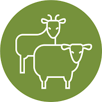 SZOnline-App