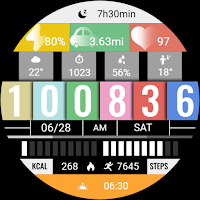 Signal Malfunction ZKin Watch
