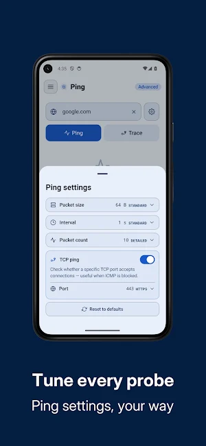 Ping Network Tool Screenshot 3