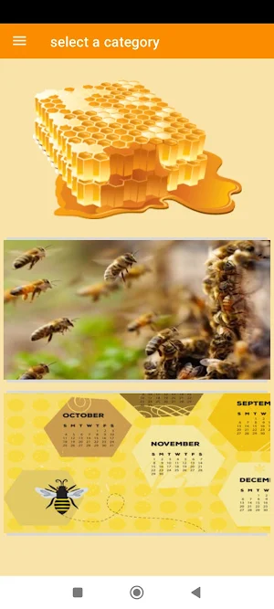 Beekeeper's Handbook Screenshot 0