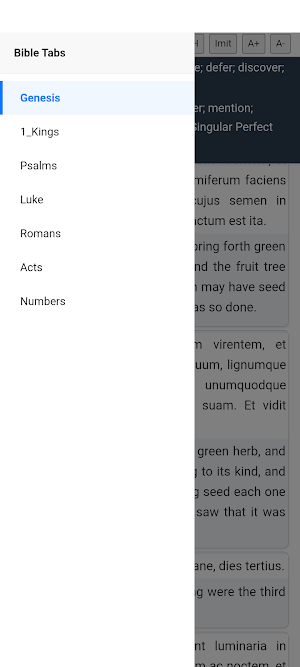 Vulgate Latin and English Screenshot 2