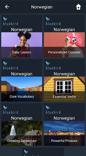 Learn Norwegian. Speak Norwegian. Study Norwegian. Screenshot 0