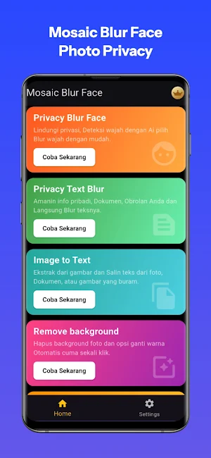 Mosaic Photo Privacy & Blur Screenshot 0