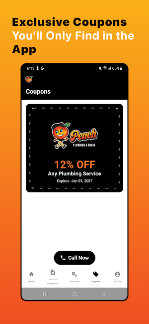 Peach Plumbing Screenshot 3