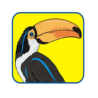 Pinturas Tucan