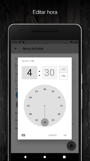 Planificador Screenshot 2