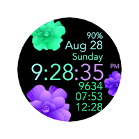 Turquoise Purple -Not Animated