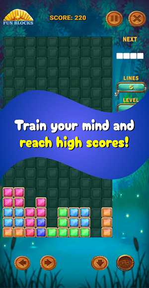 Fun Blocks Genesys: Puzzle Screenshot 2