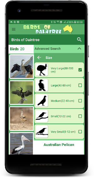 Australia Birds Daintree Demo Screenshot 3