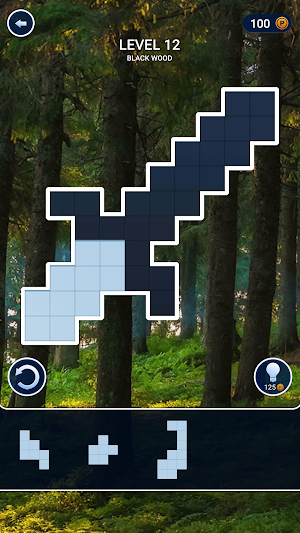 Block Puzzle Club Screenshot 3