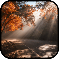 Sunbeam Wallpapers