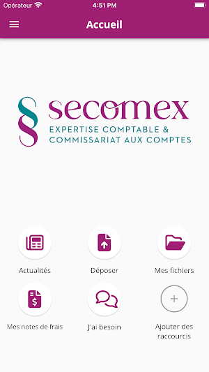 SECOMEX Screenshot 1