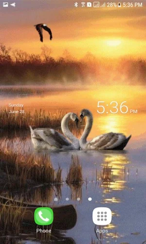 Evening Swan Love LWP Screenshot 2