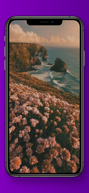 Vintage Aesthetic Wallpaper Screenshot 3
